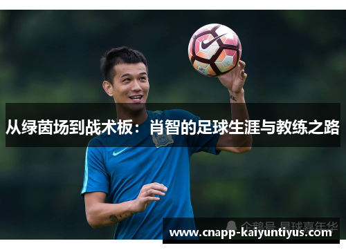 从绿茵场到战术板：肖智的足球生涯与教练之路