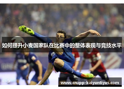如何提升小麦国家队在比赛中的整体表现与竞技水平