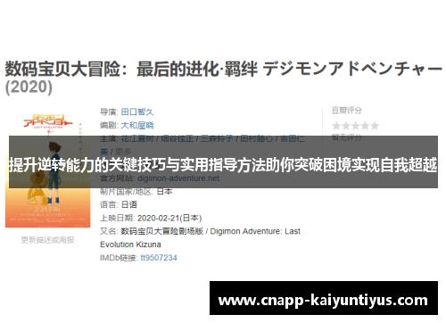 提升逆转能力的关键技巧与实用指导方法助你突破困境实现自我超越