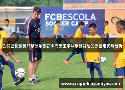 为何归化球员只拿俱乐部薪水而无国家队报酬背后的原因与影响分析