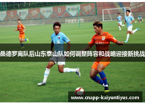 桑德罗离队后山东泰山队如何调整阵容和战略迎接新挑战
