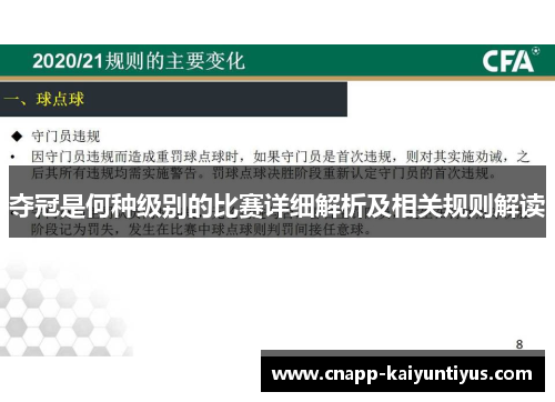 夺冠是何种级别的比赛详细解析及相关规则解读