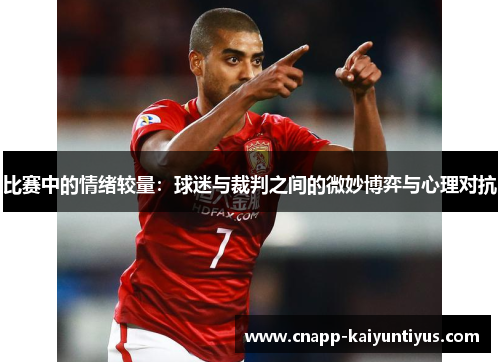 比赛中的情绪较量：球迷与裁判之间的微妙博弈与心理对抗