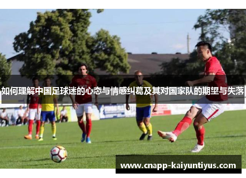 如何理解中国足球迷的心态与情感纠葛及其对国家队的期望与失落