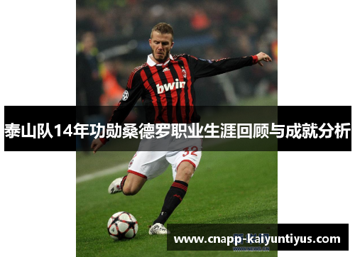 泰山队14年功勋桑德罗职业生涯回顾与成就分析