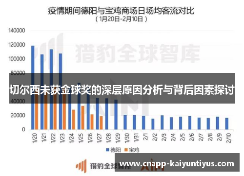 切尔西未获金球奖的深层原因分析与背后因素探讨