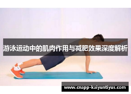 游泳运动中的肌肉作用与减肥效果深度解析
