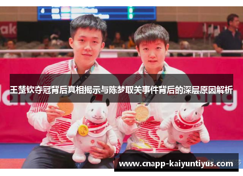 王楚钦夺冠背后真相揭示与陈梦取关事件背后的深层原因解析