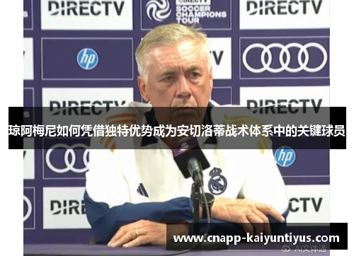 琼阿梅尼如何凭借独特优势成为安切洛蒂战术体系中的关键球员