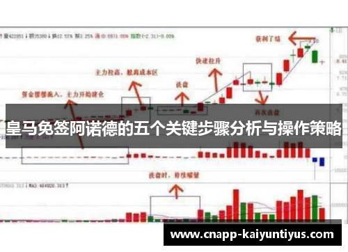 皇马免签阿诺德的五个关键步骤分析与操作策略