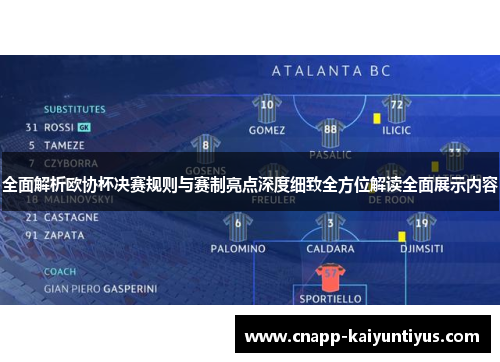 全面解析欧协杯决赛规则与赛制亮点深度细致全方位解读全面展示内容