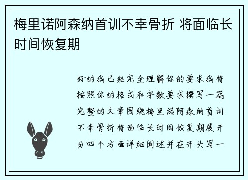 梅里诺阿森纳首训不幸骨折 将面临长时间恢复期